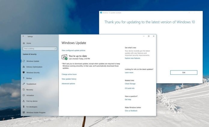 Microsoft Win10 20H1
