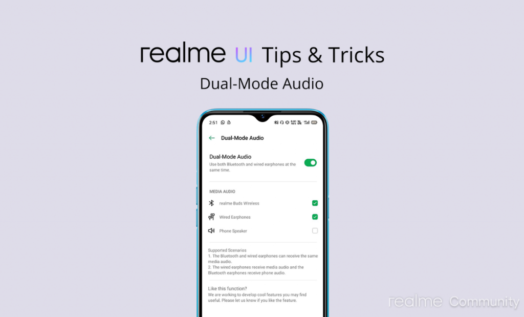Realme Dual Earphones