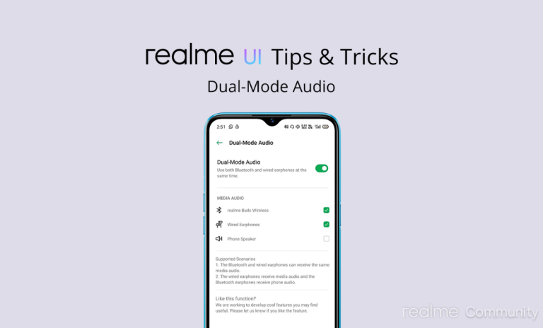 Realme Dual Earphones