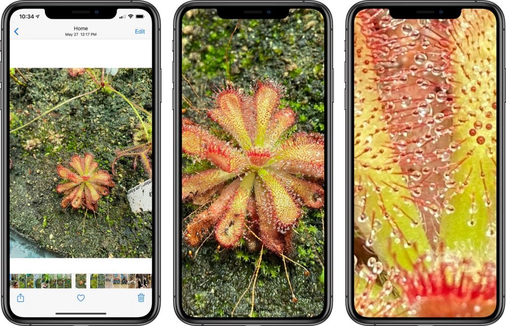 iOS 14