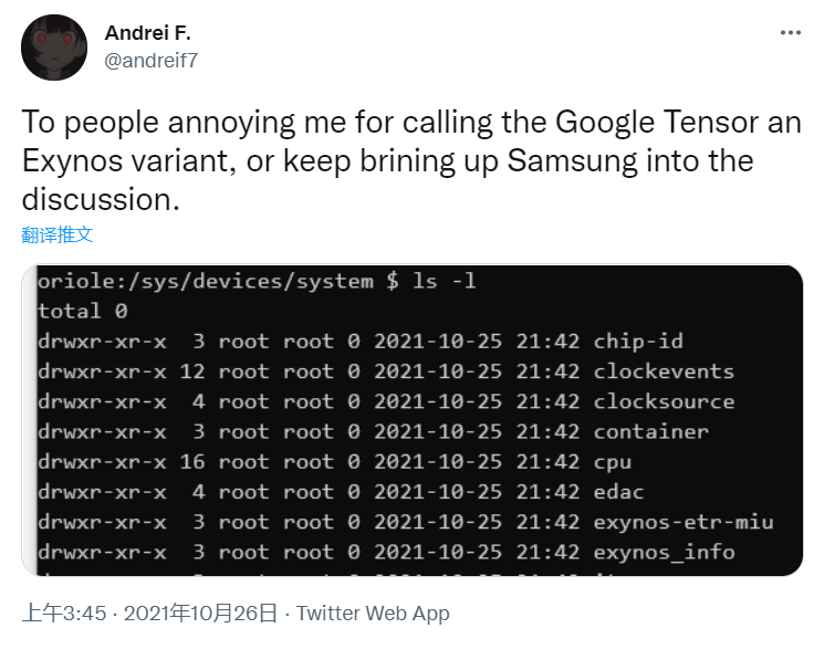 Google new Tensor chip image