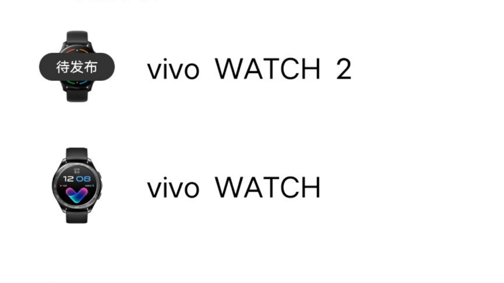 Vivo WATCH 2