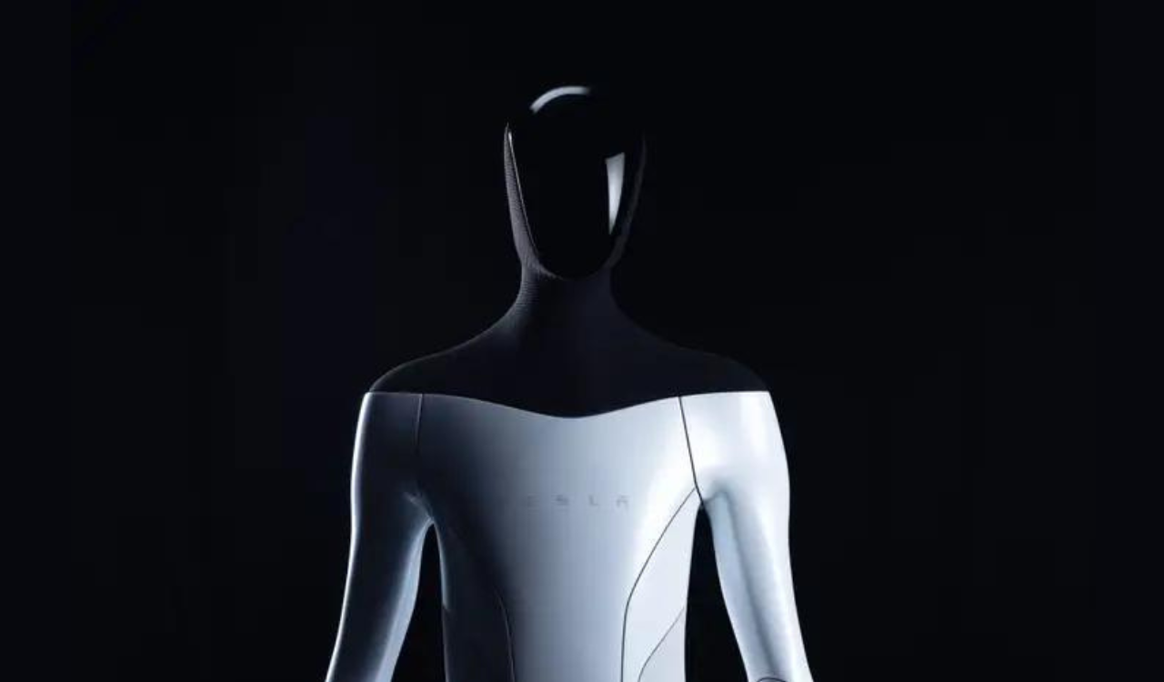 Tesla Humanoid Robot